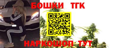 мдпв Кингисепп