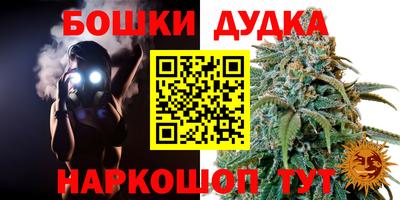 мдпв Кингисепп