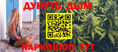 мдпв Кингисепп