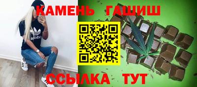 мдпв Кингисепп
